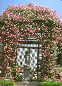 VENjncom.jpg (135730 bytes)